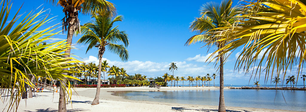 Palm Trees and the coastline at Round Beach, Miami Florida