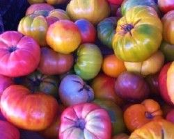 heirloom_tomatoes