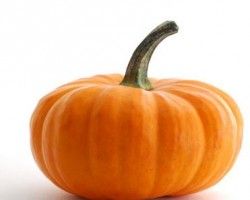 pumpkin