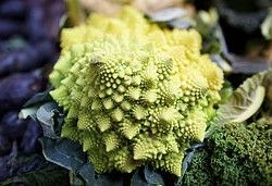 Romanesco Broccoli. Photo  by Aurelien Guichard 