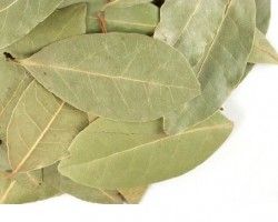 Bay_Leaves