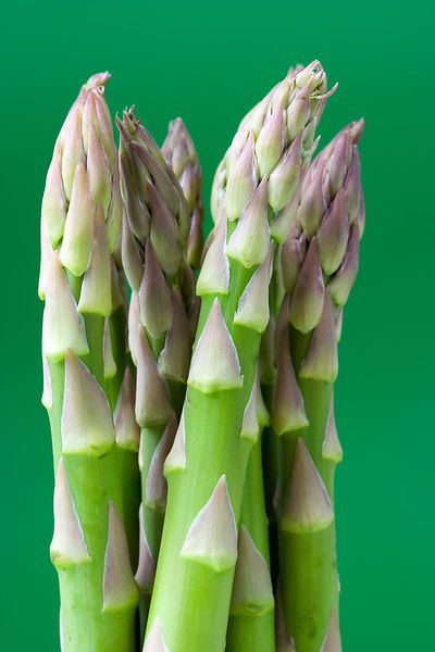 Close up of uncooked green asparagus on a green background.
