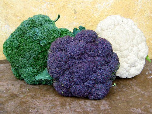 Multicolored cauliflower in green, purple and white.