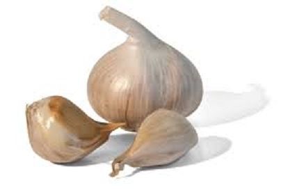 garlic